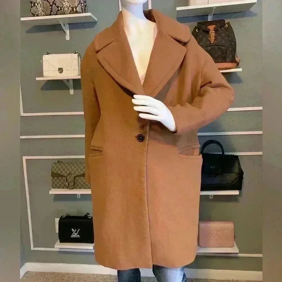 Zara - Picture 1 of 11